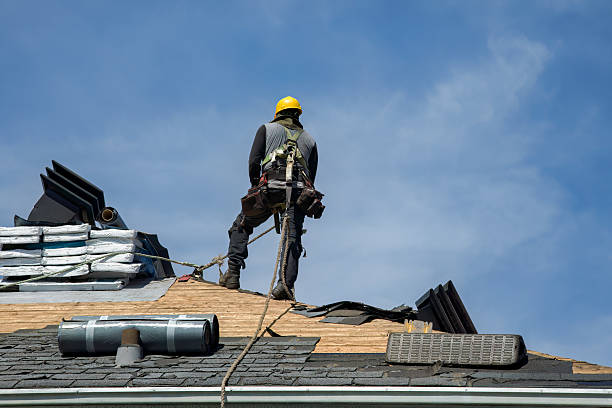 Professional Storm Damage Roof Repair technician working in Leland, MS